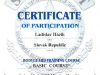 cert2k2s_v